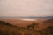 Tanzanie0265EPV0291
