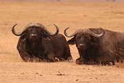 Tanzanie0275EPV0301