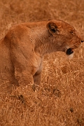 Tanzanie0287EPV0313