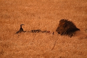 Tanzanie0293EPV0320