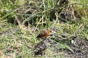 Tanzanie0304EPV0331
