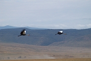 Tanzanie0324EPV0351