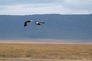Tanzanie0325EPV0352