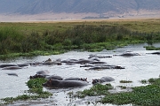 Tanzanie0326EPV0353