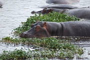 Tanzanie0327EPV0354