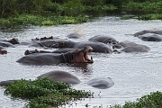 Tanzanie0332EPV0359