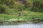 Tanzanie0333EPV0360