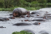 Tanzanie0335EPV0362