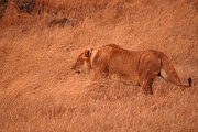 Tanzanie0347EPV0374