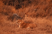 Tanzanie0349EPV0376