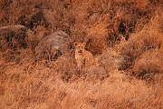 Tanzanie0355EPV0382