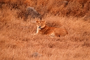 Tanzanie0356EPV0383