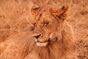 Tanzanie0357EPV0384