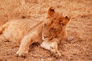Tanzanie0358EPV0385
