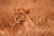 Tanzanie0362EPV0389