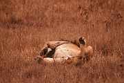 Tanzanie0363EPV0390