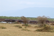 Tanzanie0387EPV0414