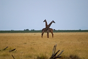Tanzanie0391EPV0418