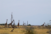 Tanzanie0395EPV0422