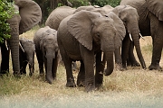Tanzanie0399EPV0426