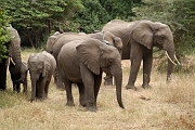 Tanzanie0401EPV0428