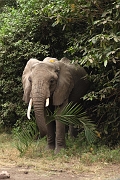 Tanzanie0402EPV0429