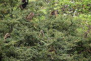 Tanzanie0416EPV0446