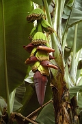 Tanzanie0427EPV0458