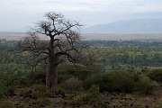 Tanzanie0428EPV0459