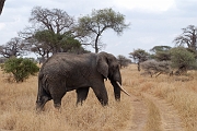 Tanzanie0444EPV0478