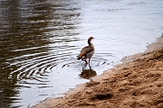 Tanzanie0449EPV0483