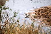 Tanzanie0453EPV0487