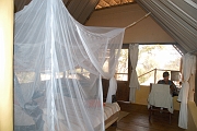 Tanzanie0475EPV0509
