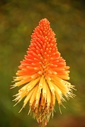 Tanzanie0509EPV0547