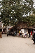 Tanzanie0536EPV0578