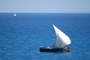 Tanzanie0548EPV0590
