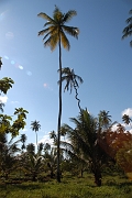 Tanzanie0557EPV0599