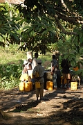 Tanzanie0564EPV0606