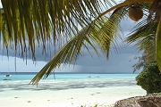 Tanzanie0569EPV0611