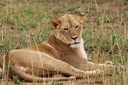 Tanzanier0154EPV0175