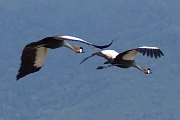 Tanzanier0325EPV0352