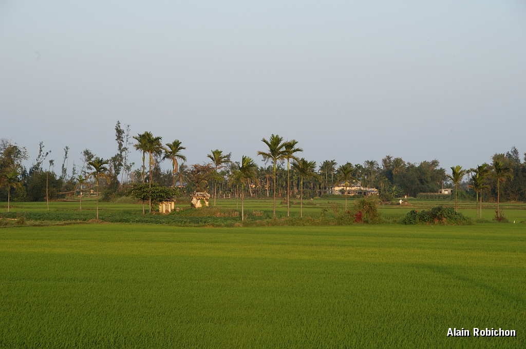 DSC_1877.jpg
