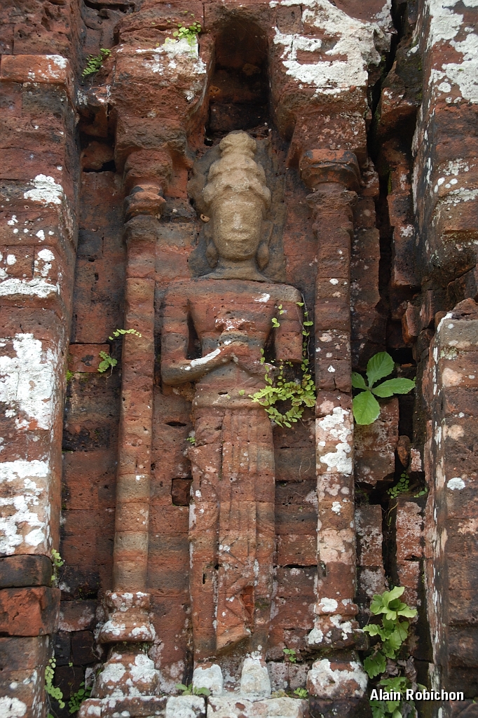 DSC_1911.jpg