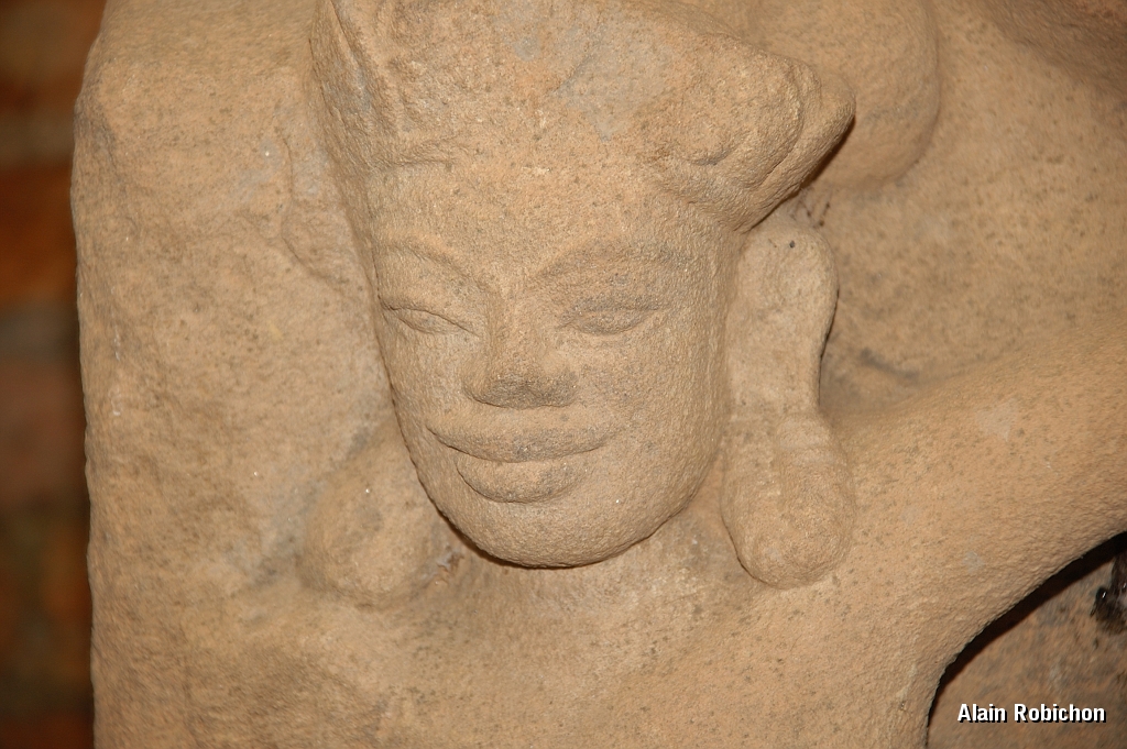 DSC_1920.jpg