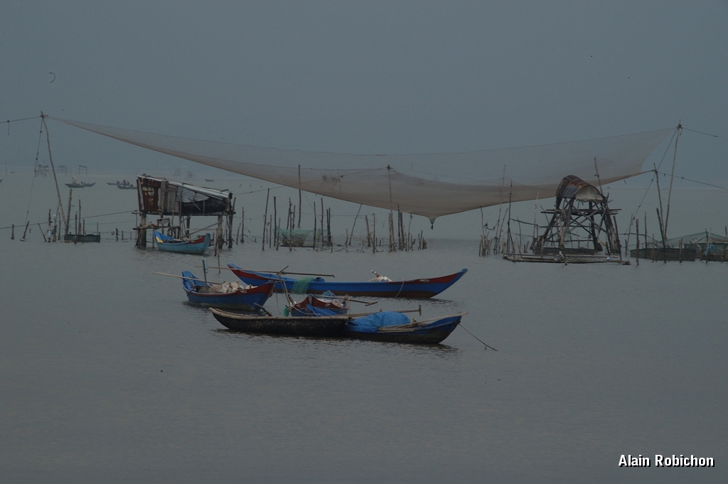 DSC_1972.jpg