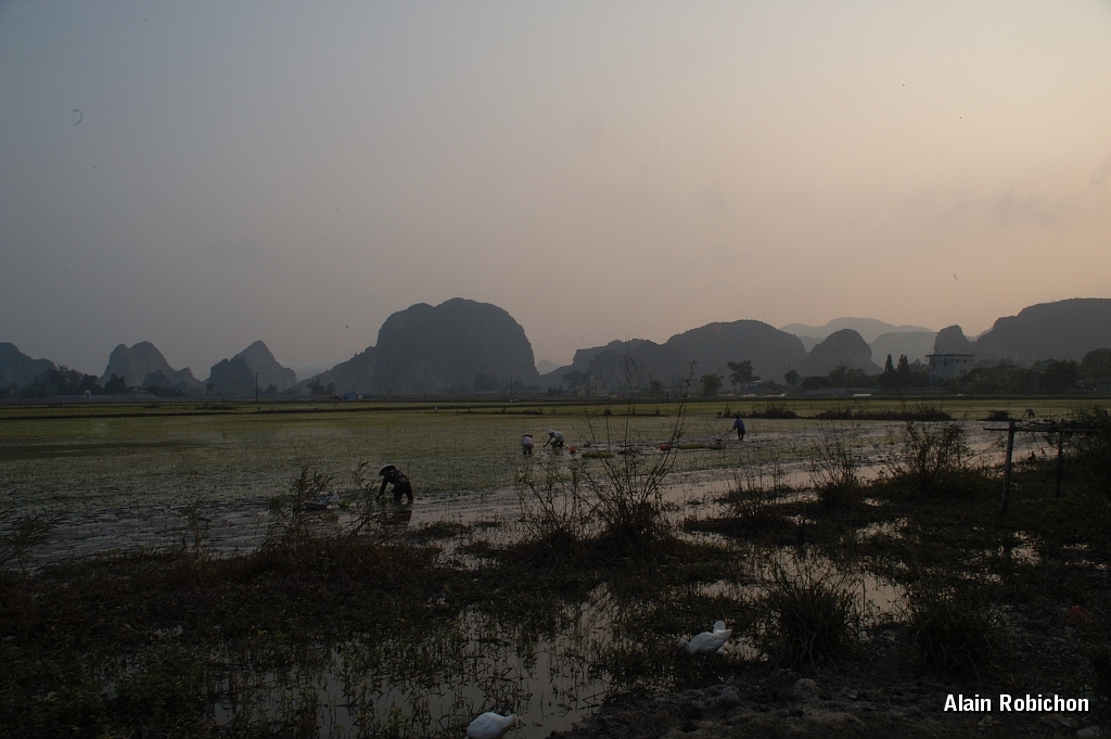DSC_2275.jpg