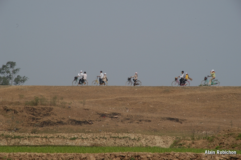 DSC_2337.jpg
