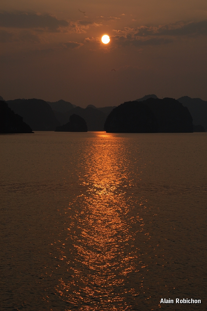 DSC_2463.jpg