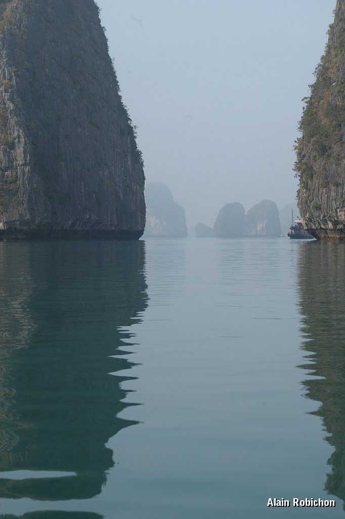 DSC_2501.jpg