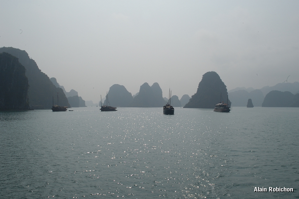 DSC_2512.jpg